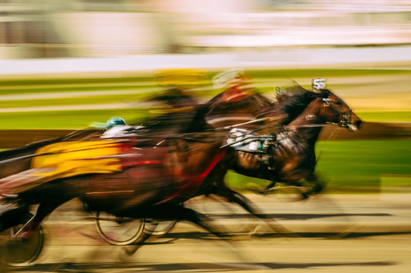 競馬